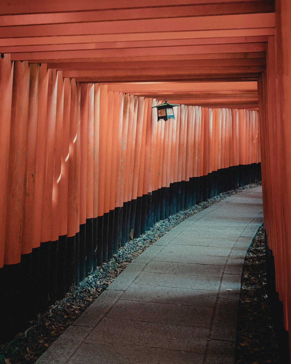 gray concrete pathway between orange walls