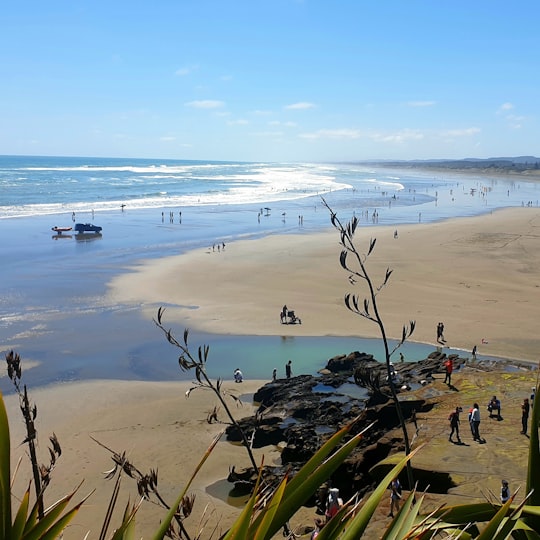 people on beach during daytime in Muriwai Beach New Zealand