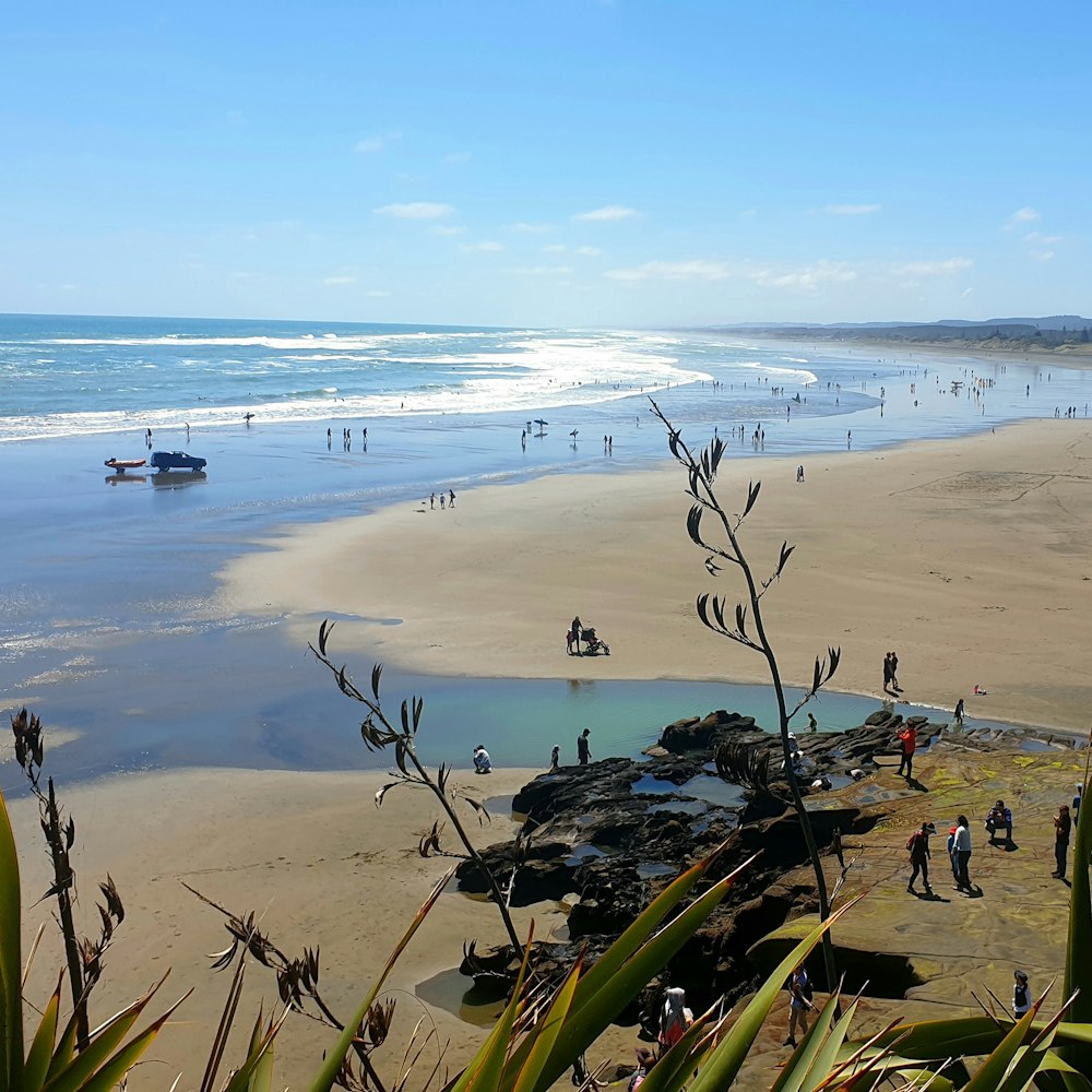 people on beach during daytime