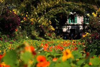 Transformez votre jardin en paradis