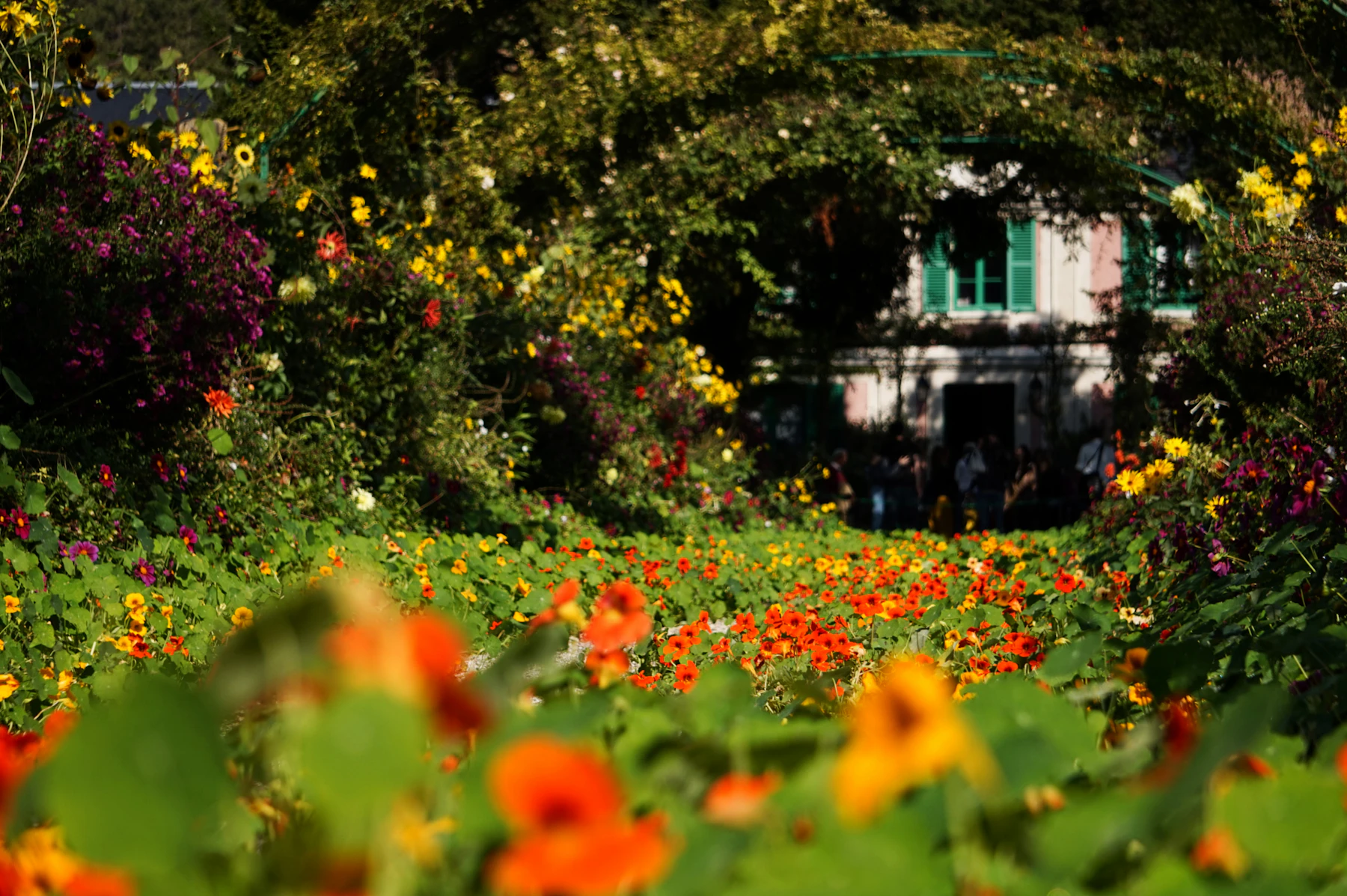 10 Low-Maintenance Plants for Beginners Who Keep Killing Things