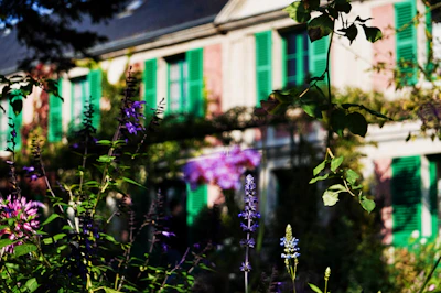 purple flowers in tilt shift lens