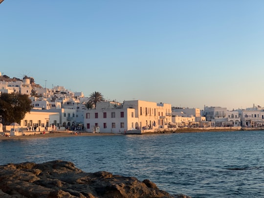 white and brown concrete buildings near body of water during daytime in Μύκονος Greece