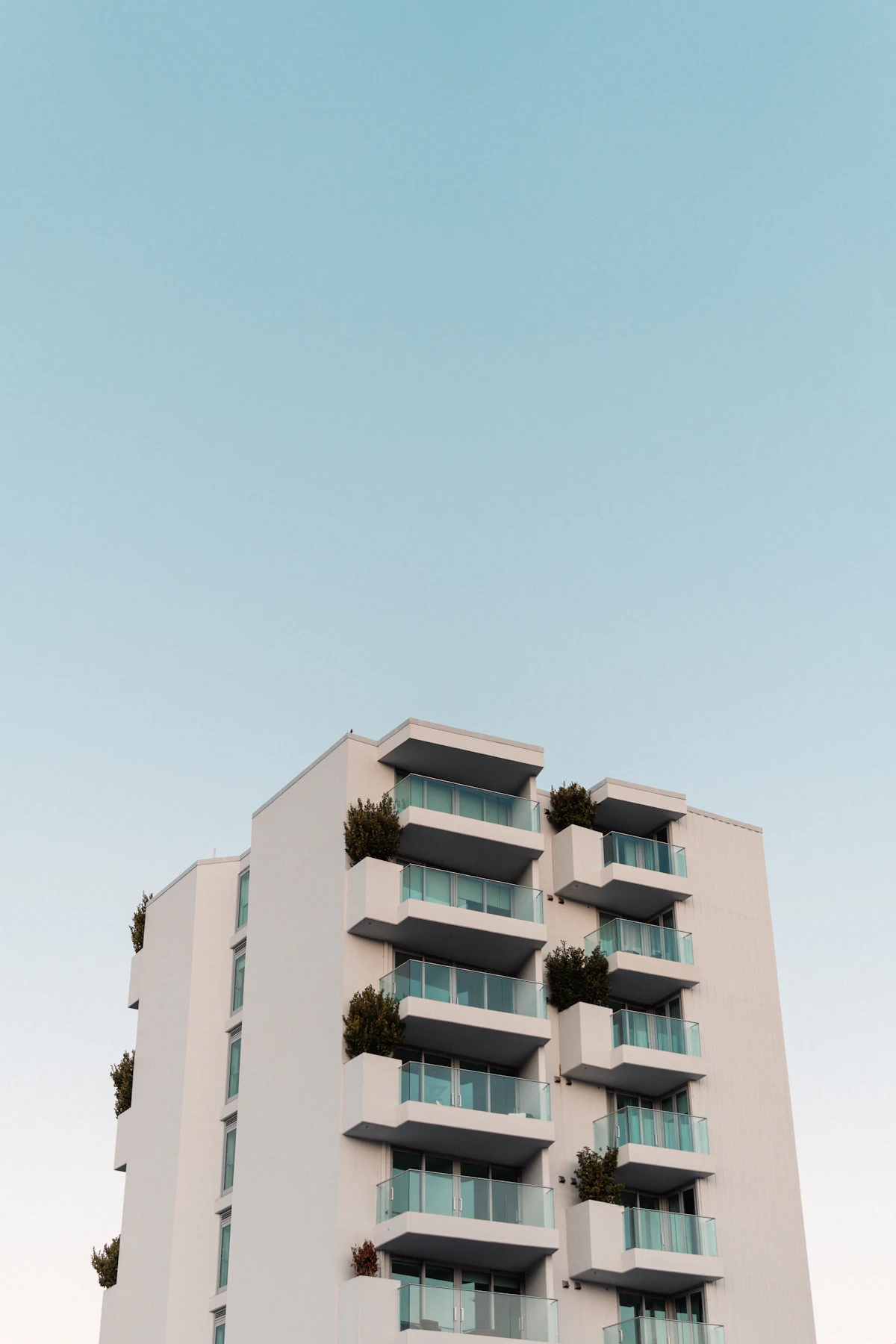 Önünde ağaç bulunan apartman cephesi