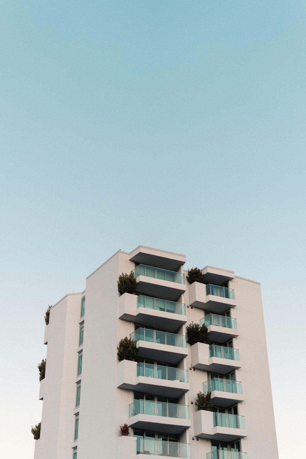 green tree in front of beige concrete building