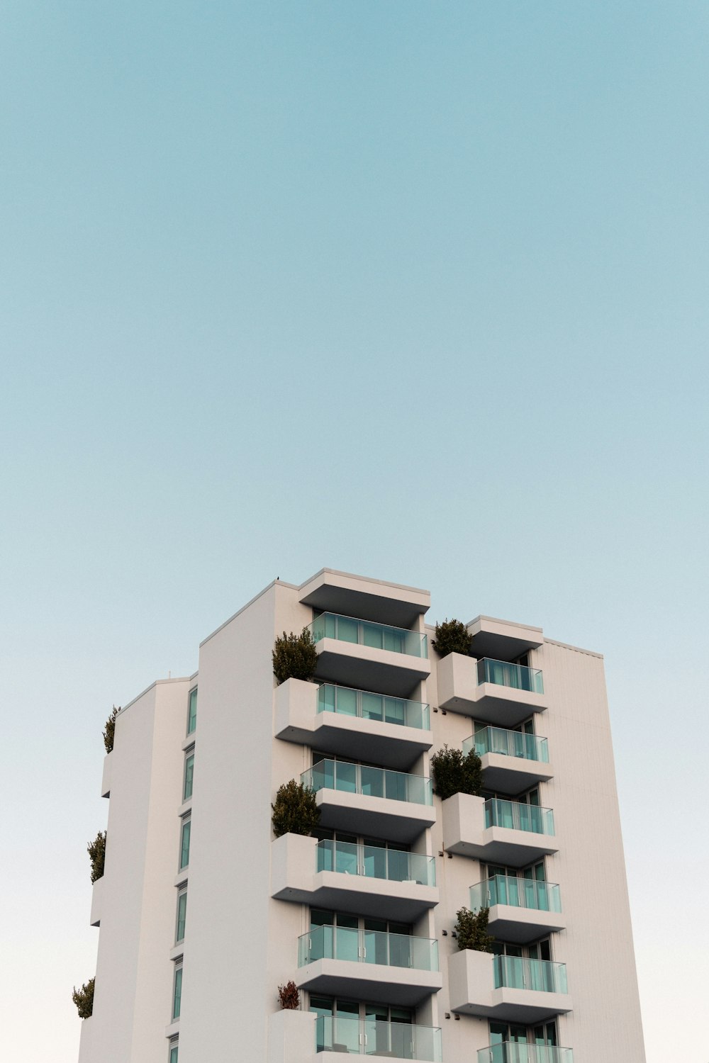 Arbre vert devant un bâtiment en béton beige