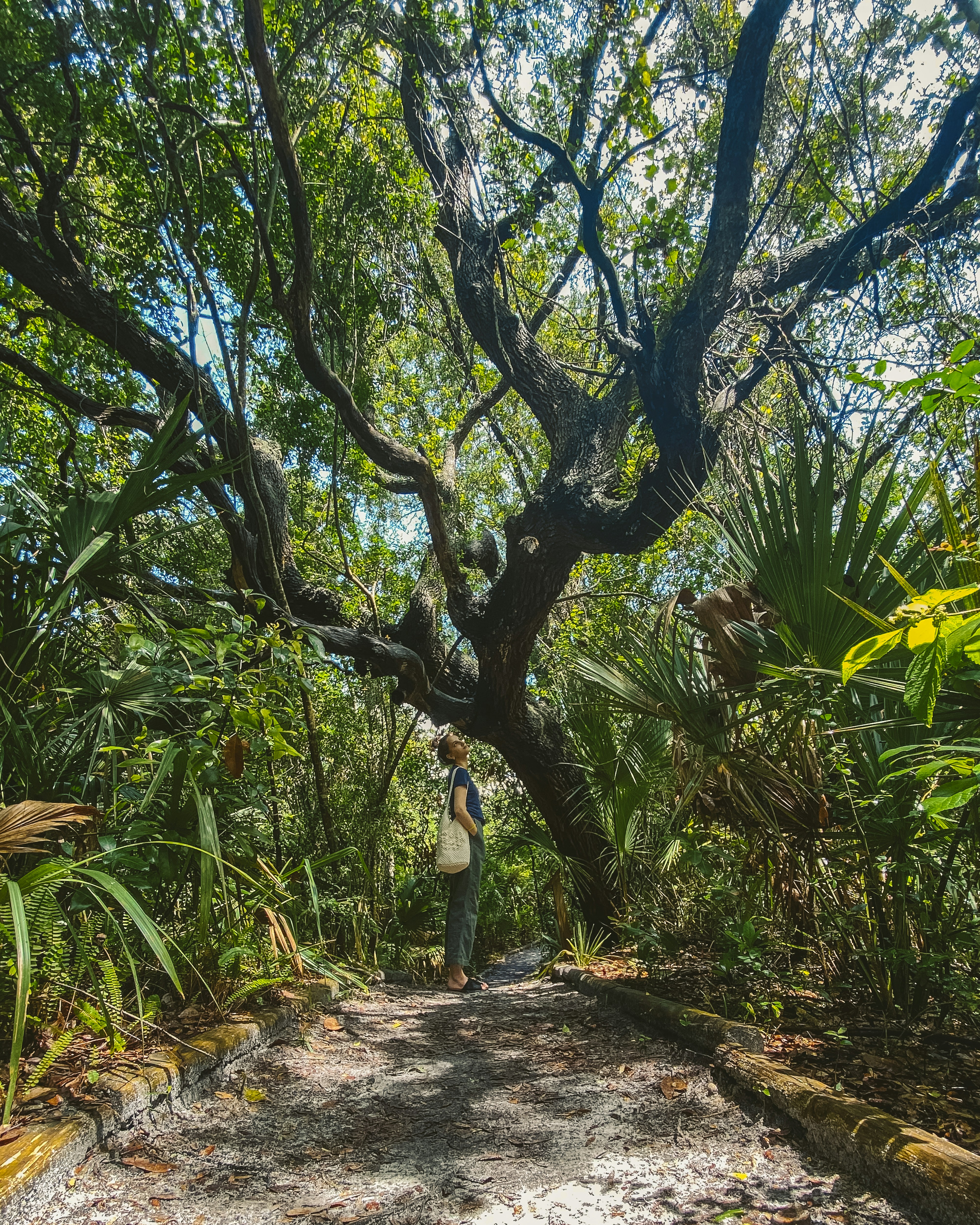 Photo by jphotomedia