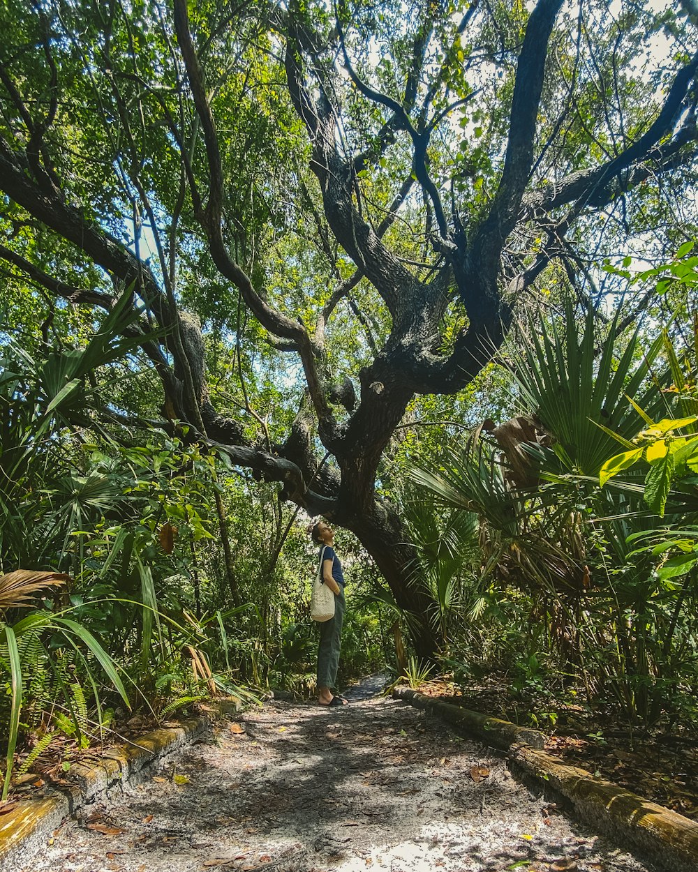 woman in white dress standing on pathway between green trees during daytime