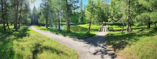 green grass and trees during daytime in Springwater Provincial Park Canada