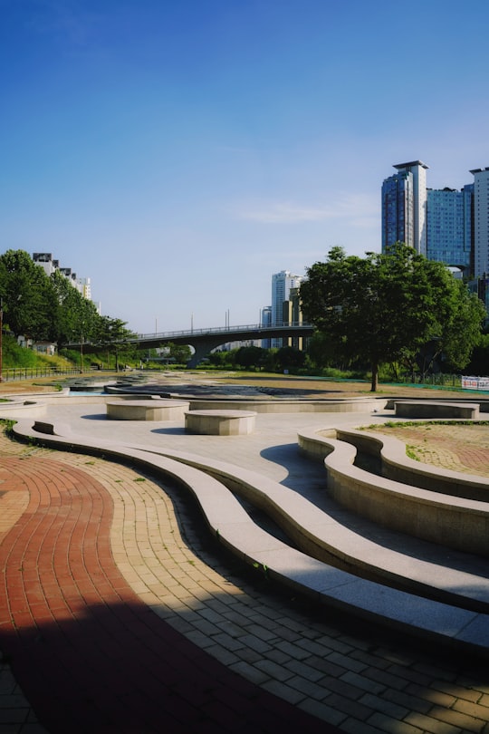 green trees and brown brick pathway in Tancheon South Korea