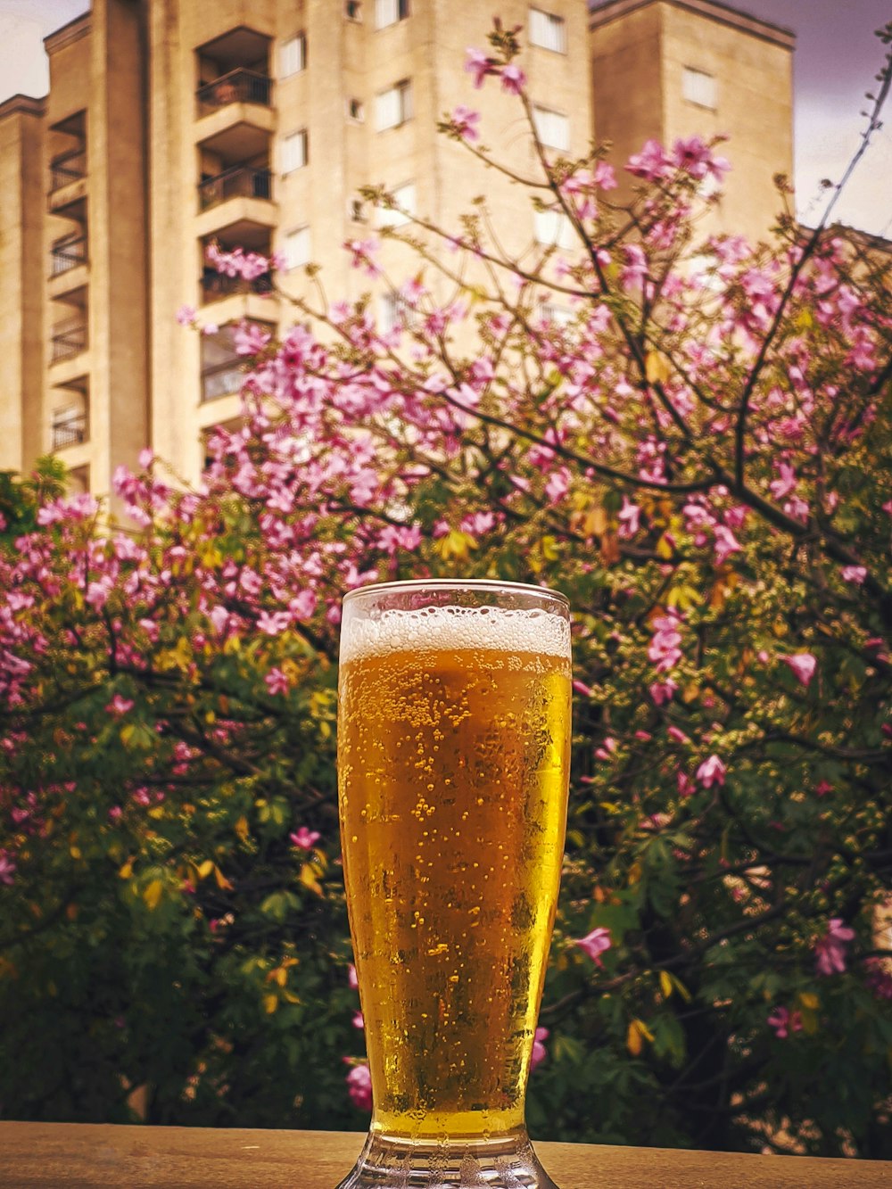 clear drinking glass with beer