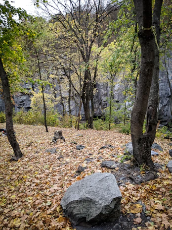 A medium rounded rectangle image of a serene outdoor scene with autumn leaves.