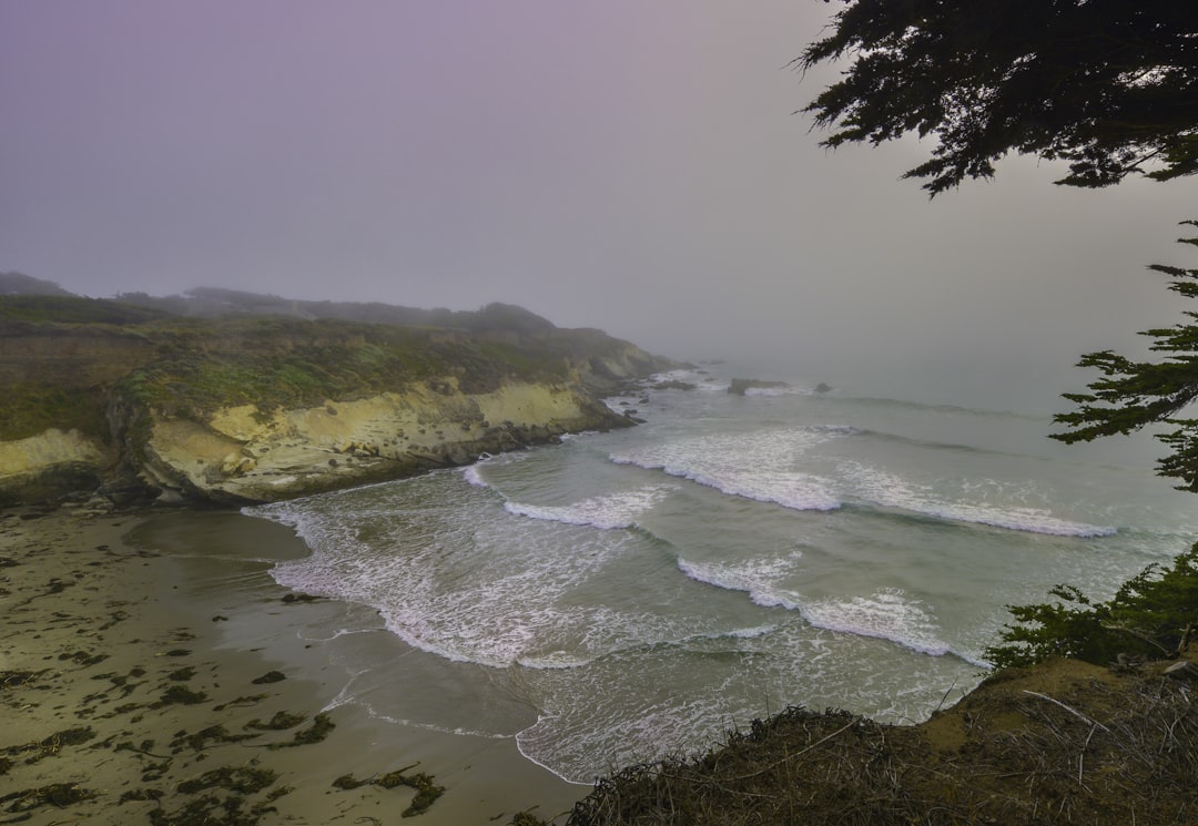 From Golden Gate to Hollywood Analyzing the SF to LA Migration Tren… — From Golden Gate to Hollywood Analyzing