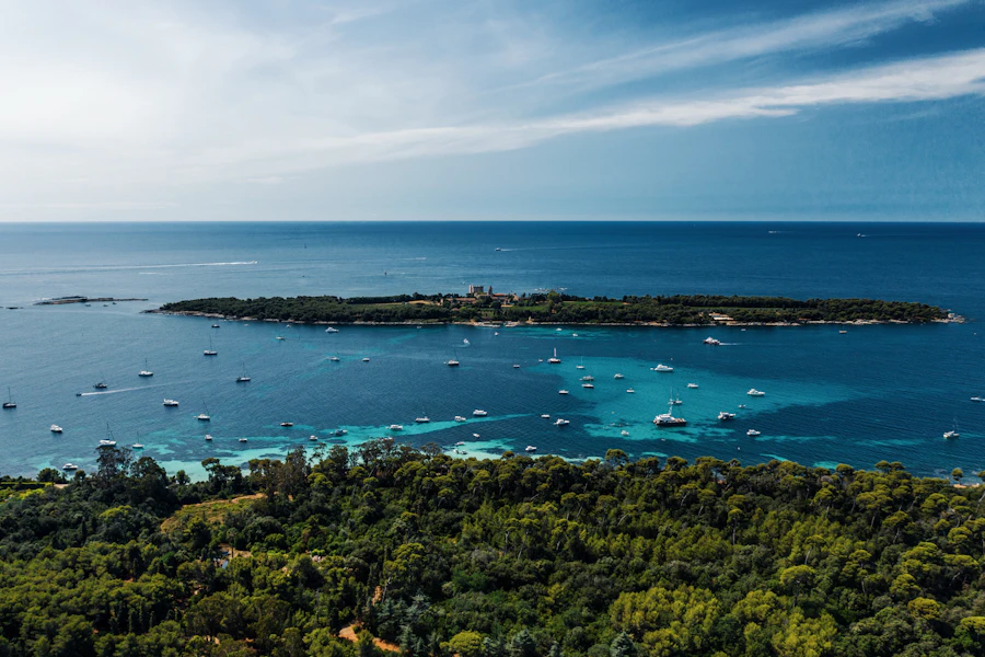 坎城附近聖奧諾拉島的寧靜海岸