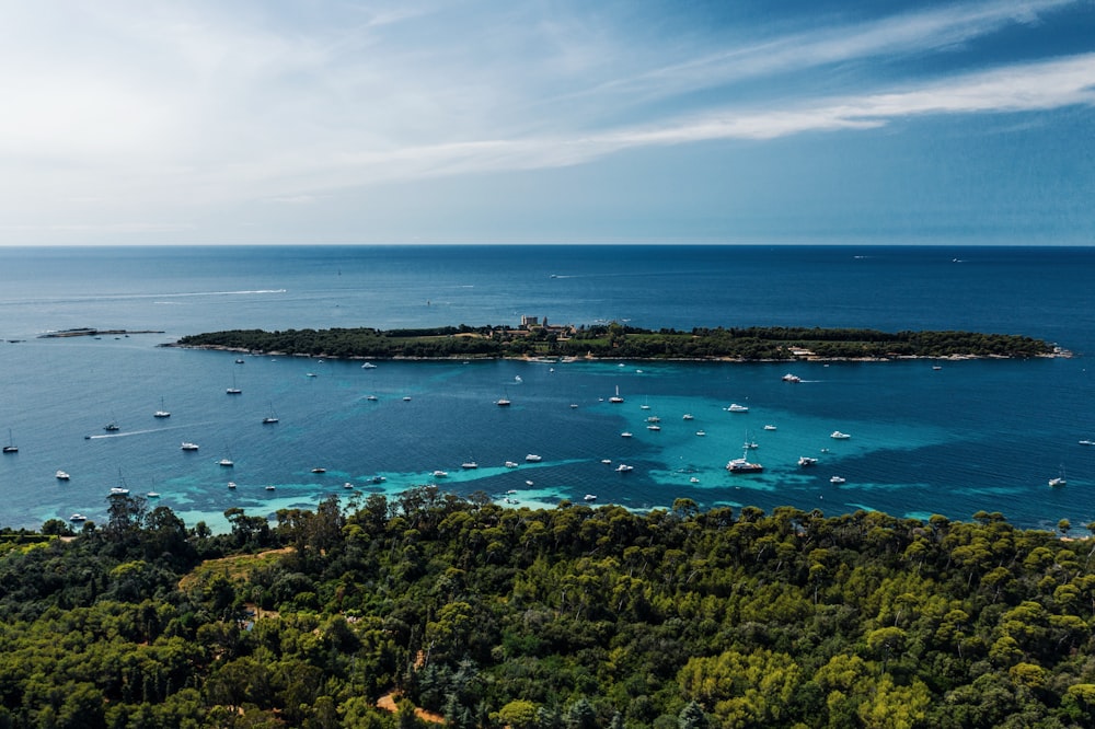 hierba verde y mar azul bajo el cielo azul durante el día