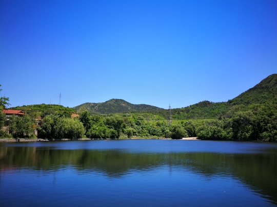 green trees near lake under blue sky during daytime in Dalian China