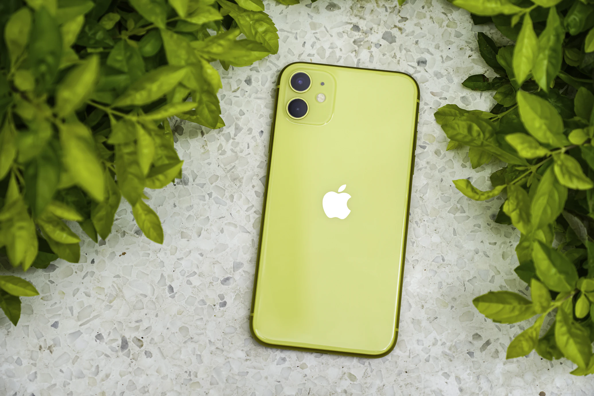 Bonsai 27B: un Modello AI da 27 Miliardi di Parametri che Gira su iPhone