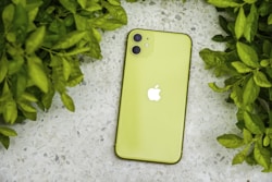 Nexo Edge 5G