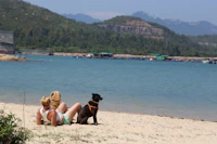 Best Beaches for Kids Near Hong Kong: Safe, Shallow, and Worth the Drive