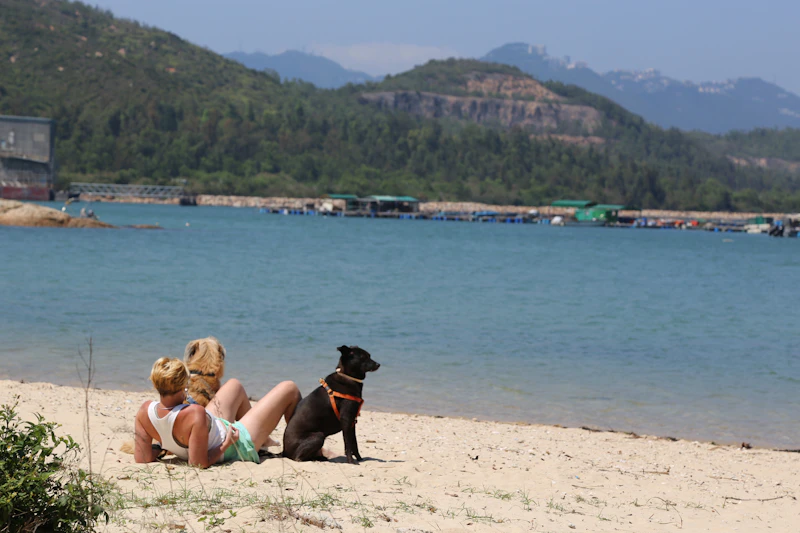 Best Beaches for Kids Near Hong Kong: Safe, Shallow, and Worth the Drive