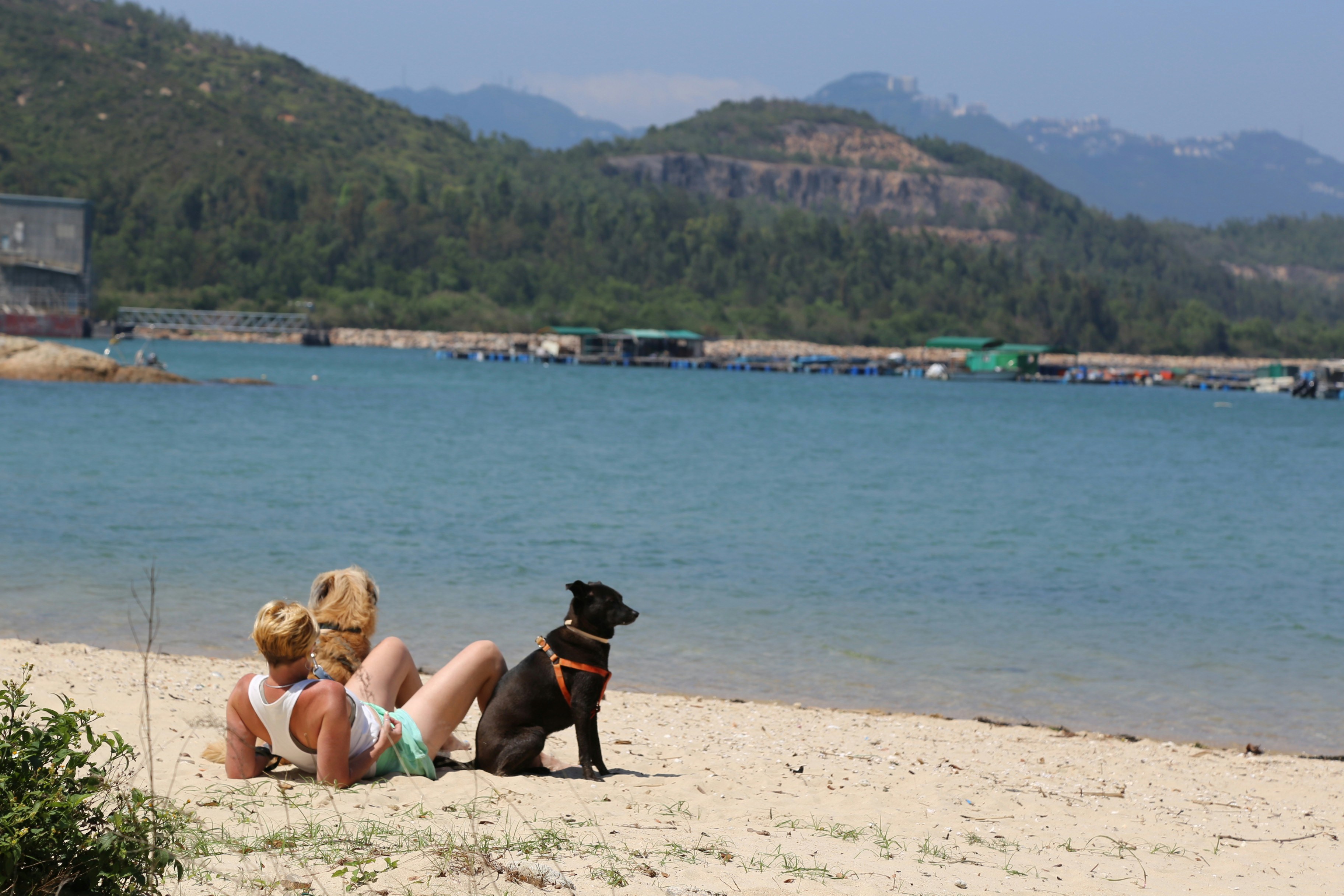 Pattaya And Island