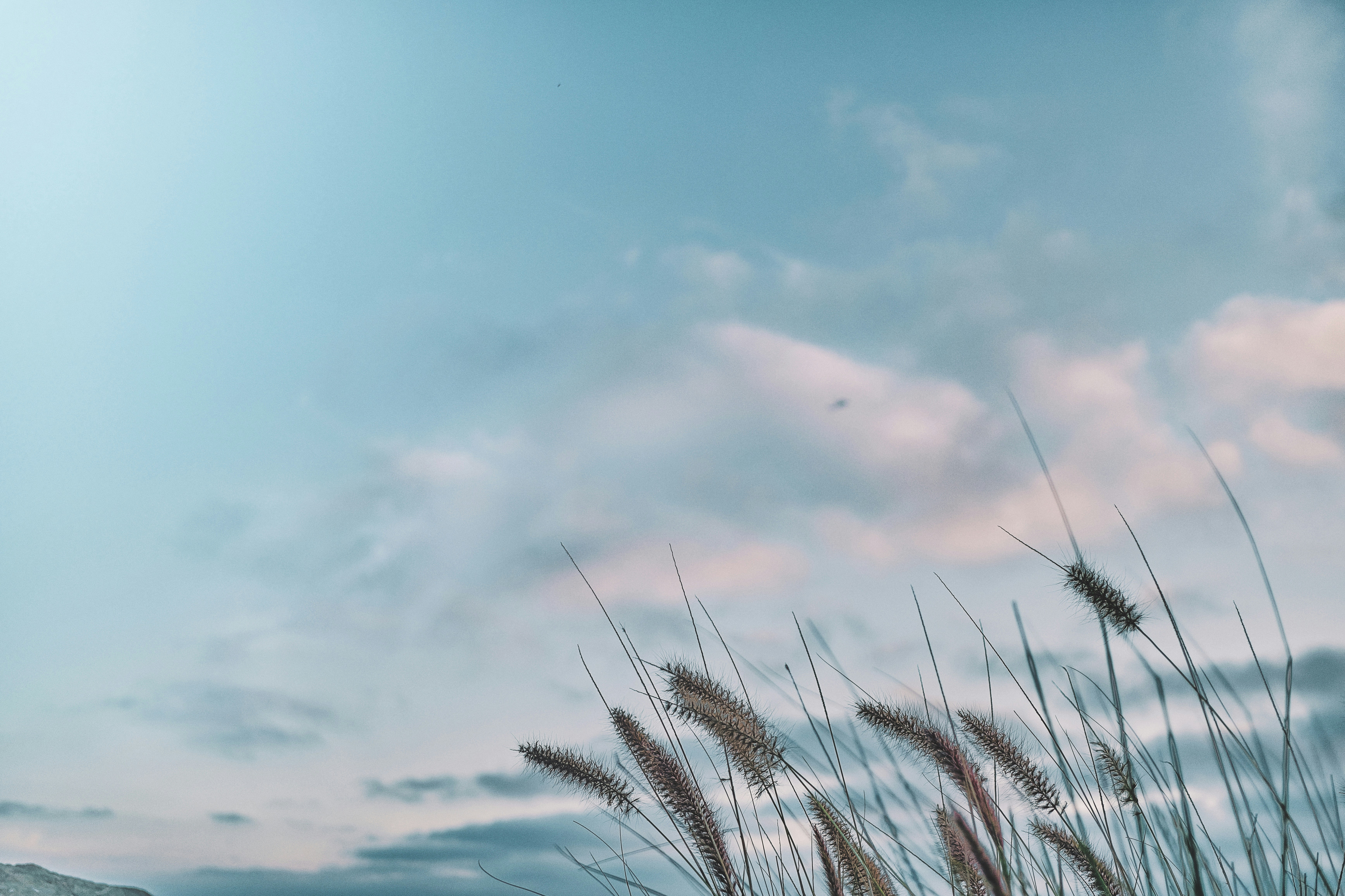 Photo by hillcountry_camera