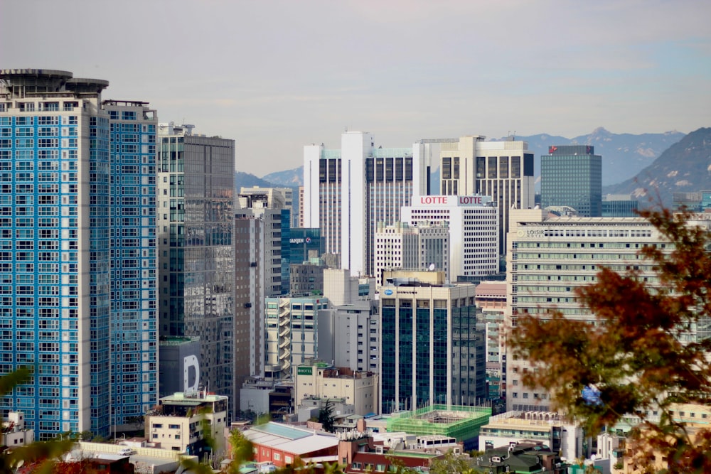 city buildings under gray sky during daytime