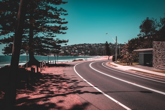 gray concrete road near trees during daytime in Palm Beach NSW Australia