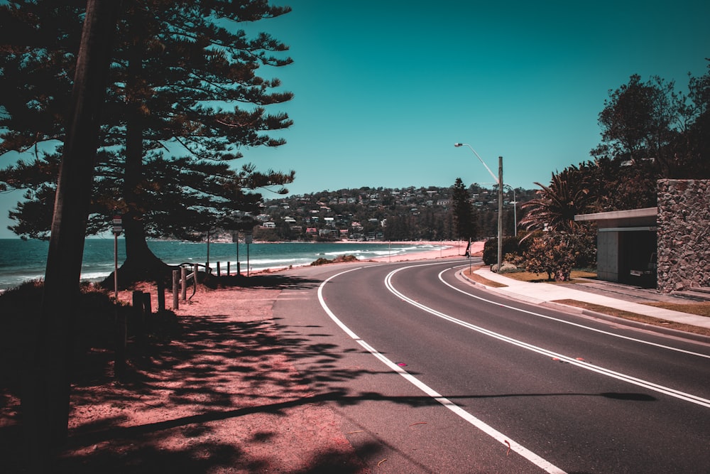 gray concrete road near trees during daytime