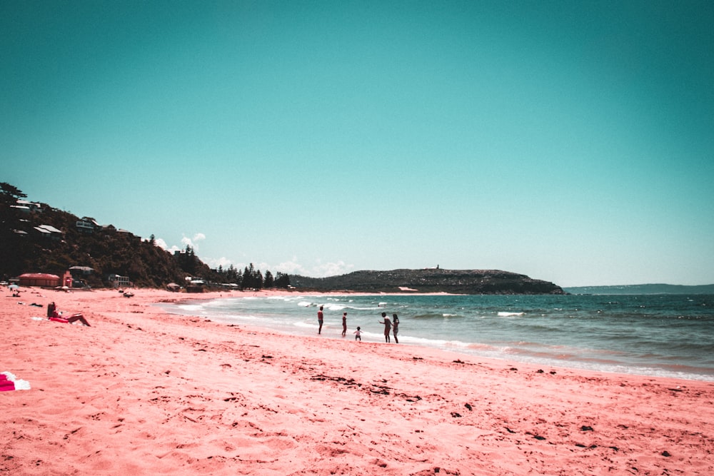 people on beach during daytime