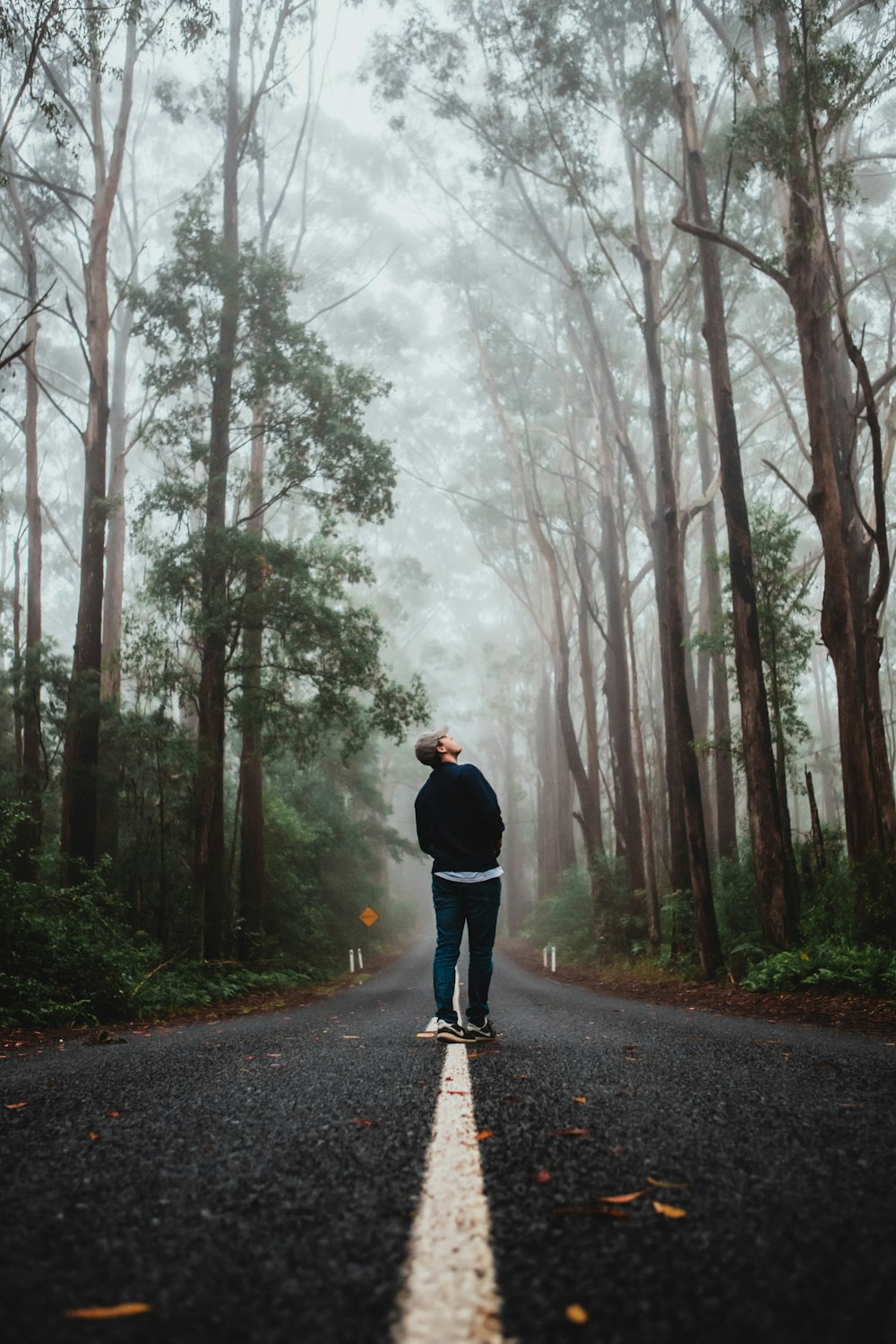 man in black jacket standing on road between trees