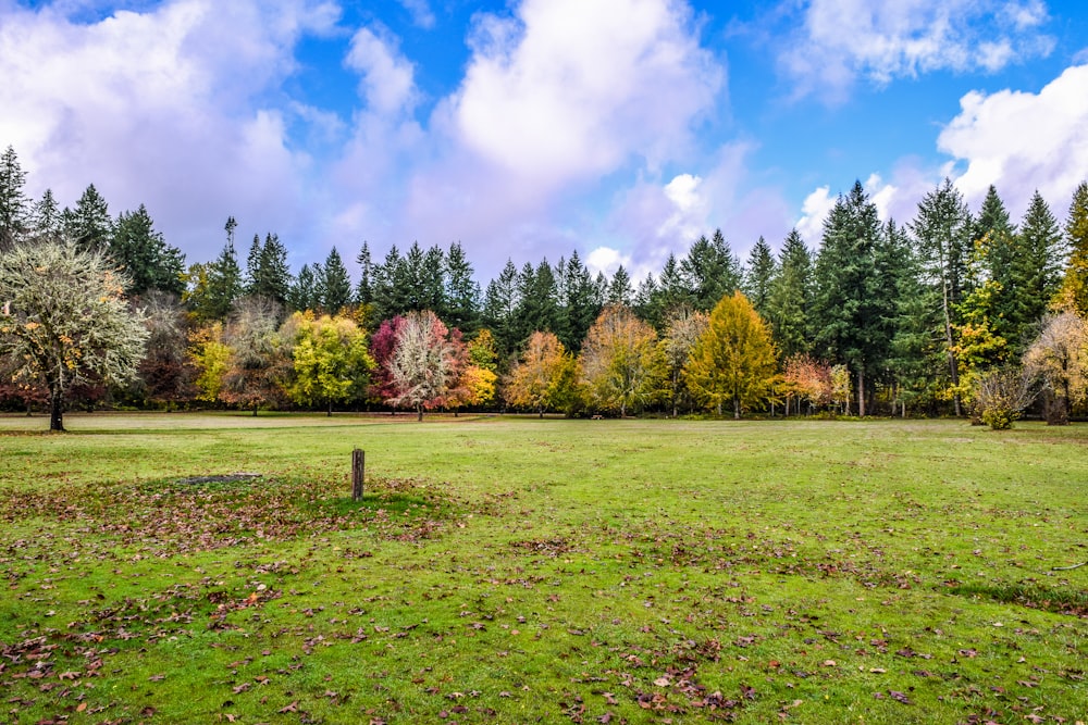 green grass field with trees under blue sky and white clouds during daytime