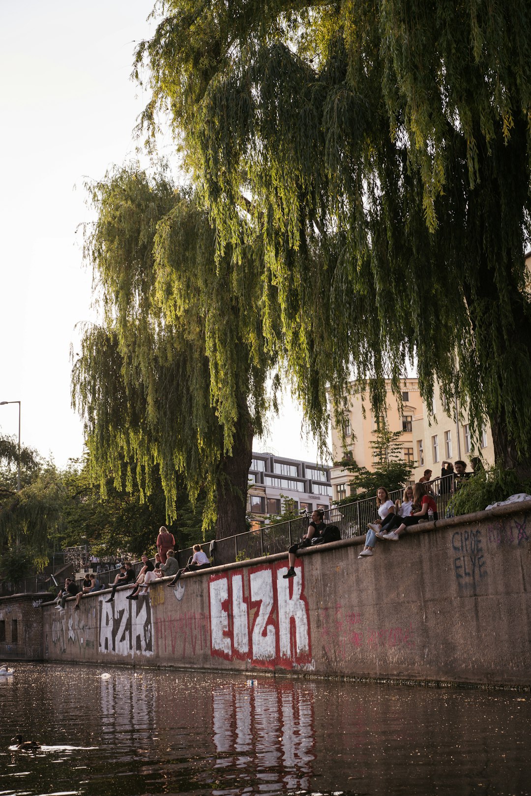 green trees beside concrete wall