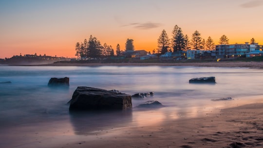 snow covered field near trees during daytime in Mona Vale Beach Australia