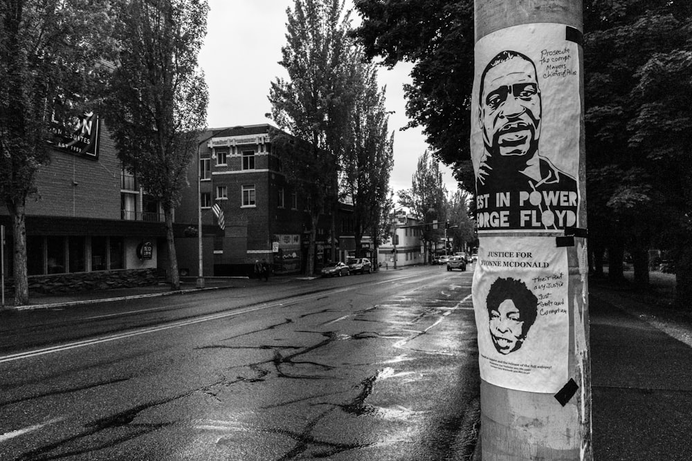 grayscale photo of street with trees