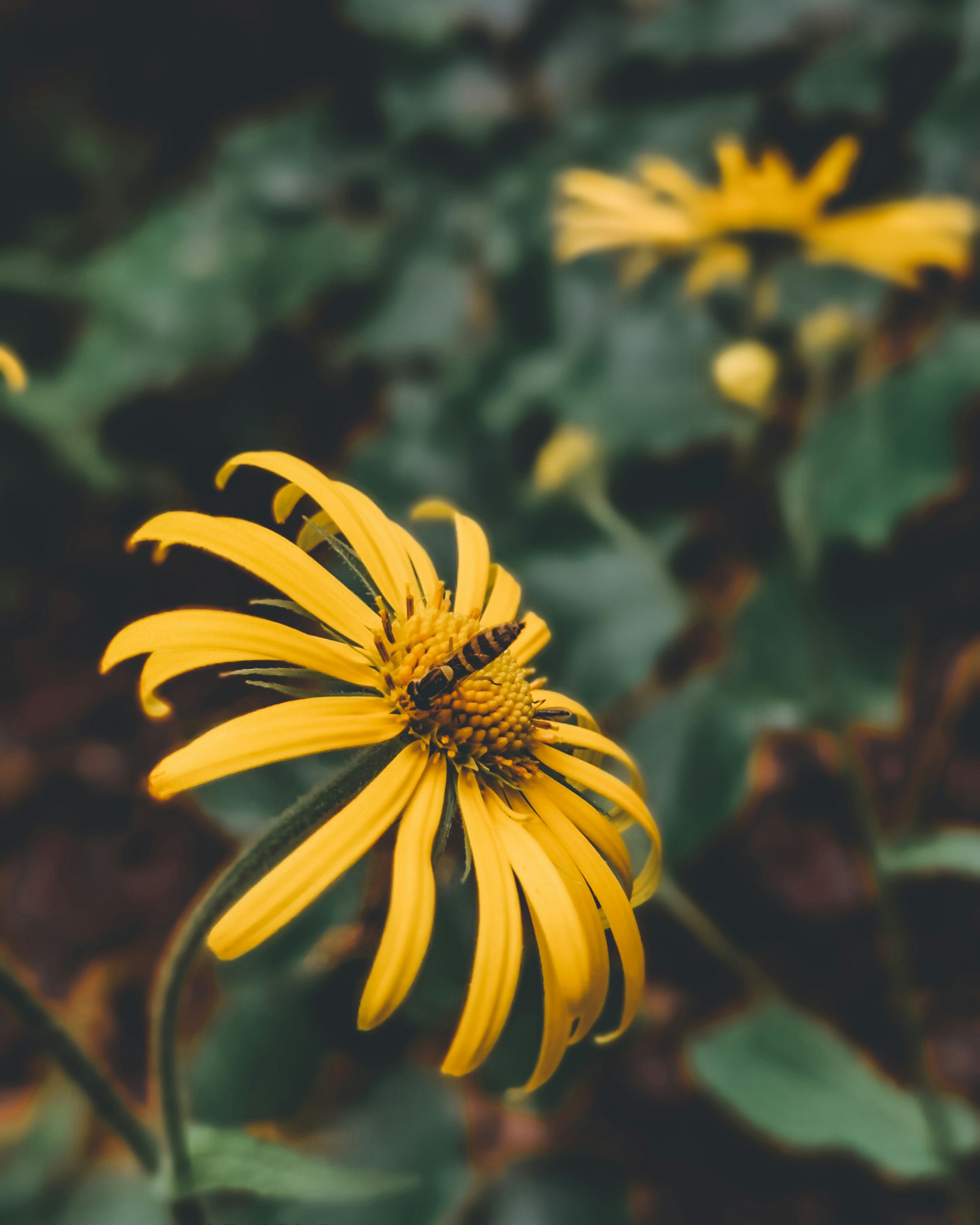 Photo by vmelnechenko