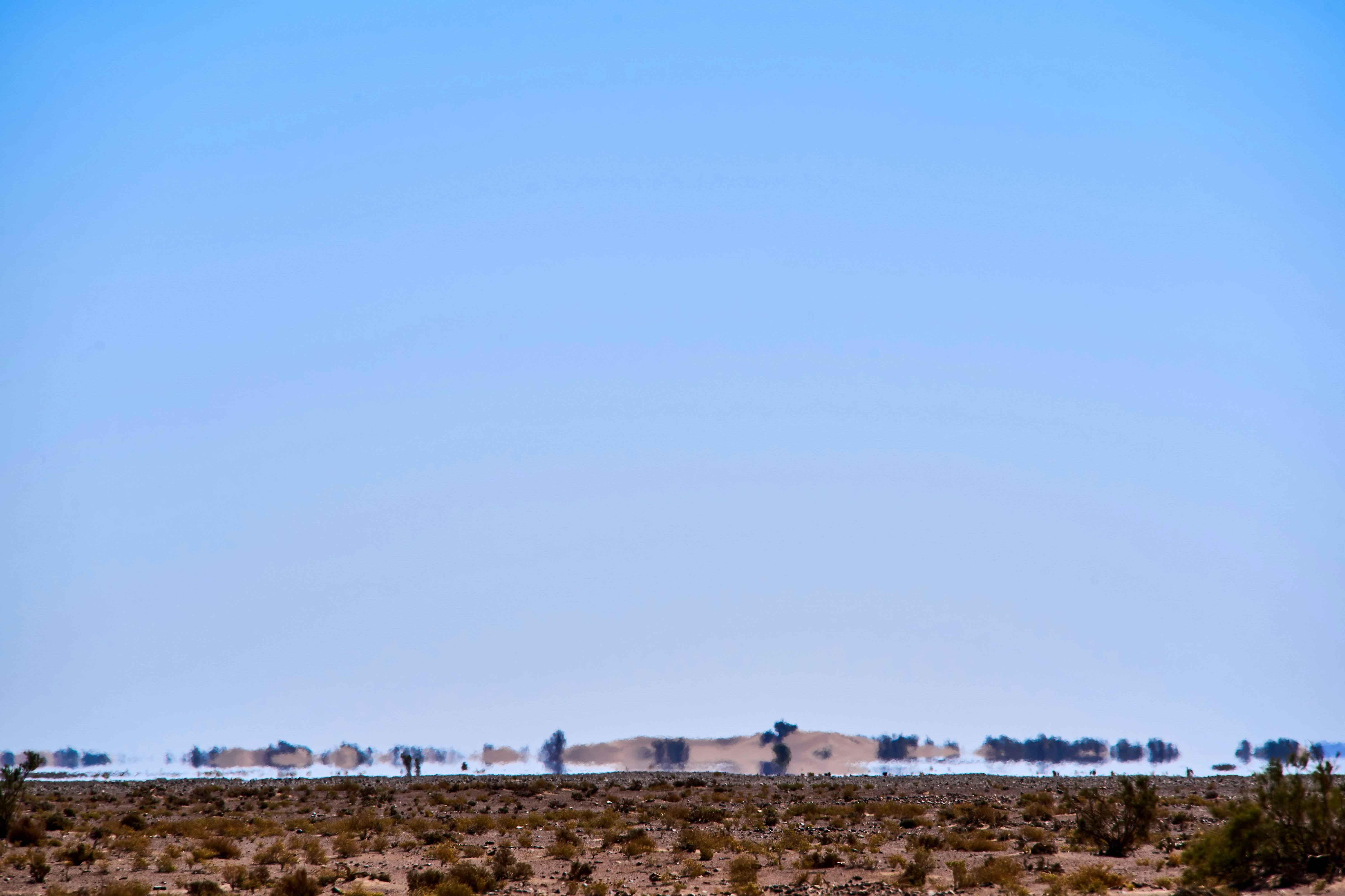 Photo by wolfgang_hasselmann