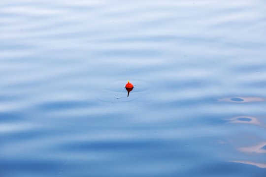 red flower on blue water in Hualien Taiwan