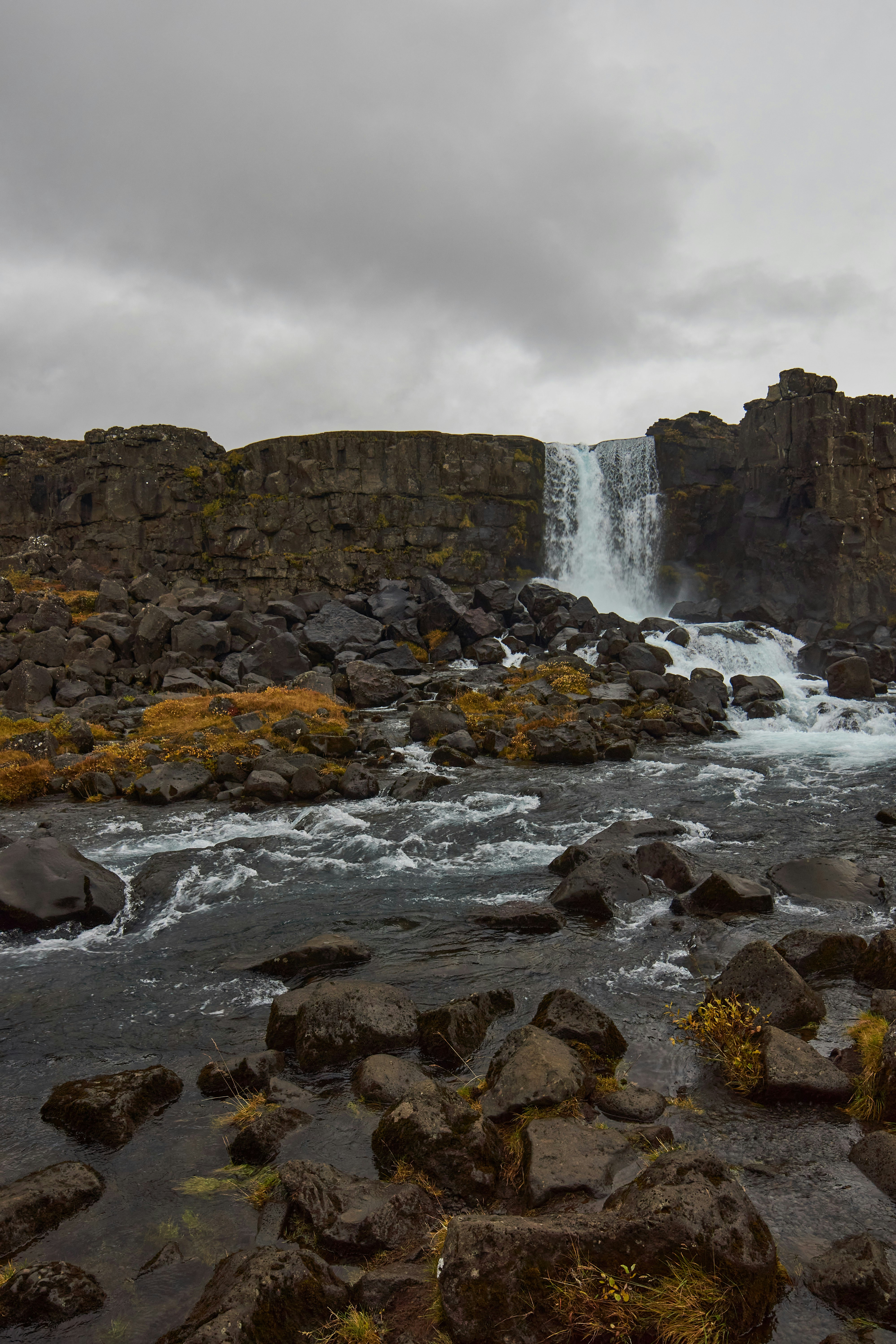 Photo by wolfgang_hasselmann