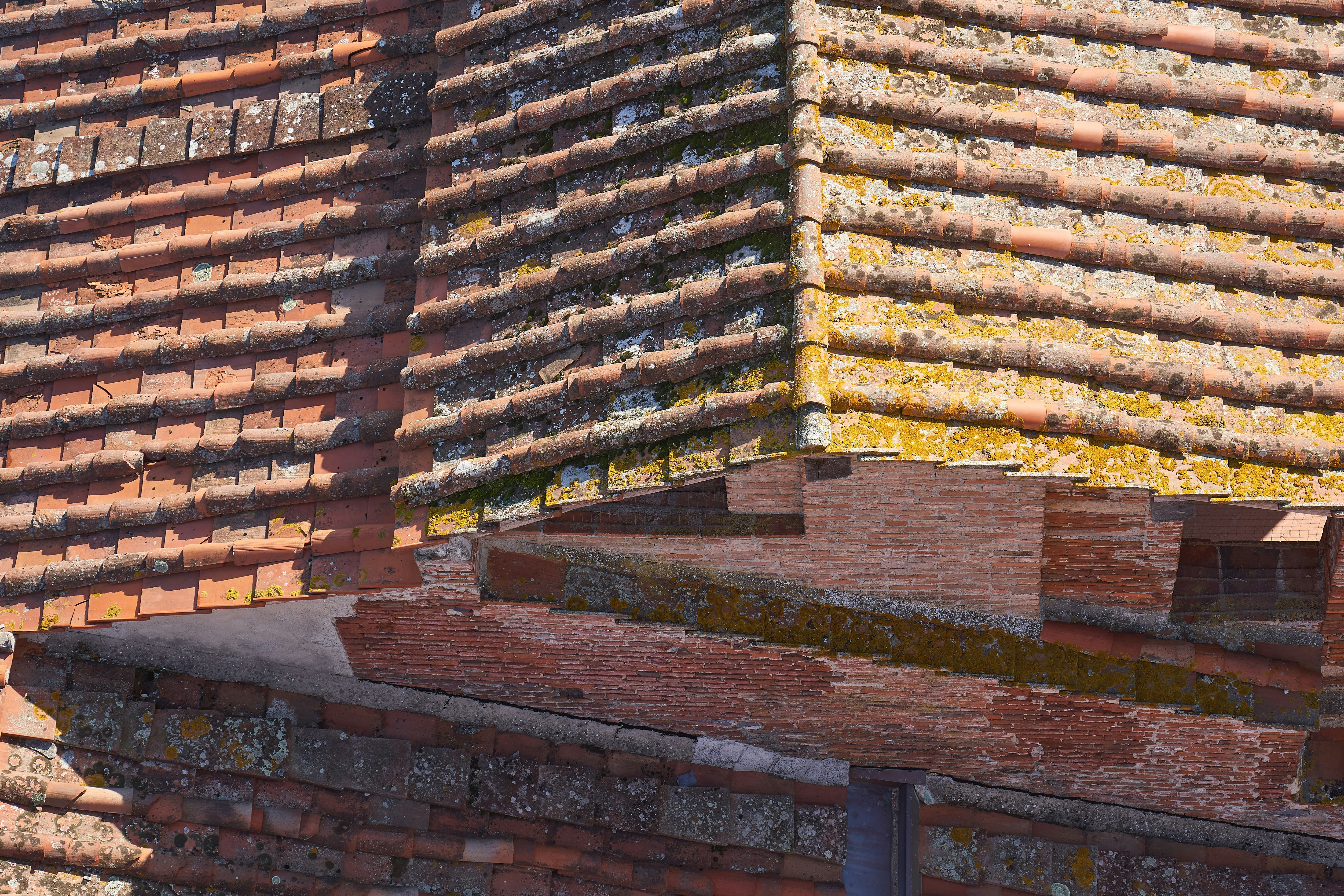 Photo by wolfgang_hasselmann