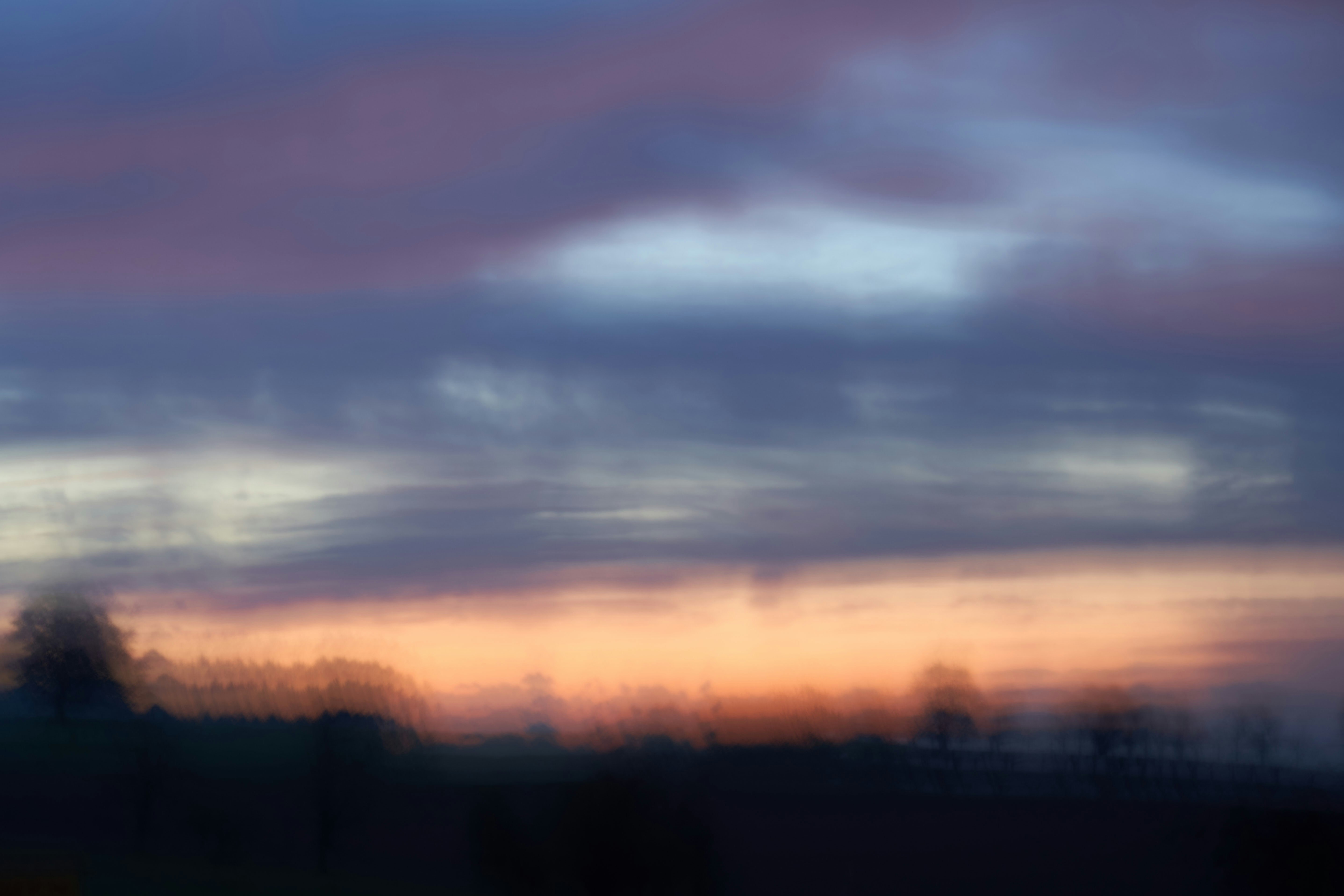 Photo by wolfgang_hasselmann