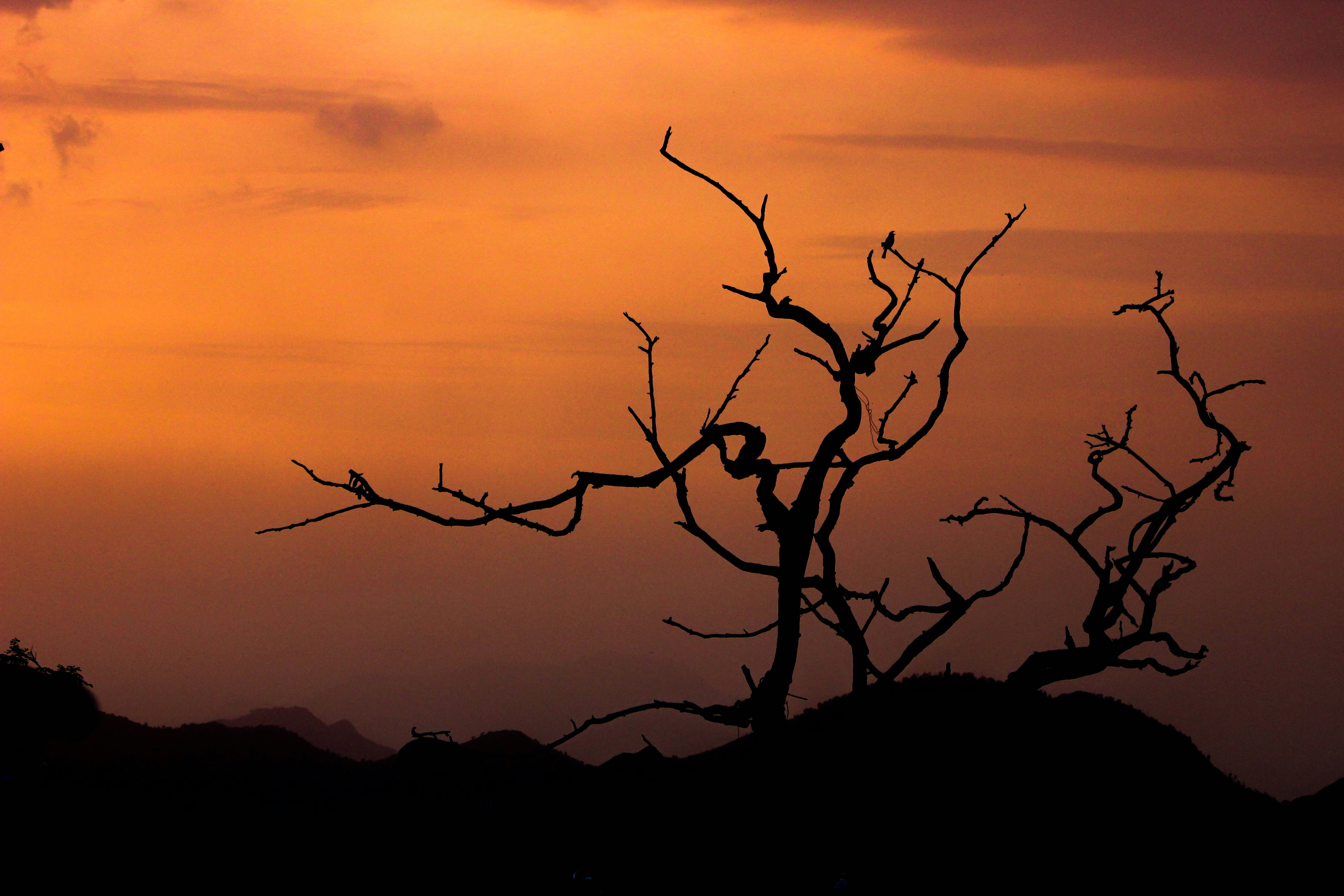 Photo by rahul_aluri