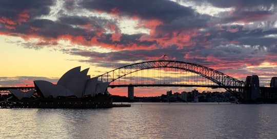 silhouette of bridge during sunset in Mrs Macquarie's Chair Australia