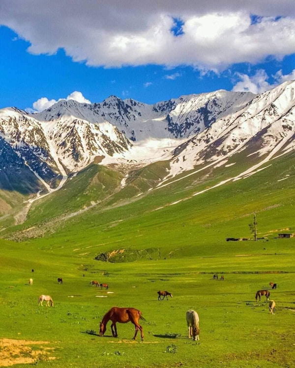 Authentic Pakistani Cuisine: Local Dishes, Restaurants & Traditional Recipes