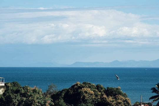 green trees near body of water during daytime in Nosy Be Madagascar