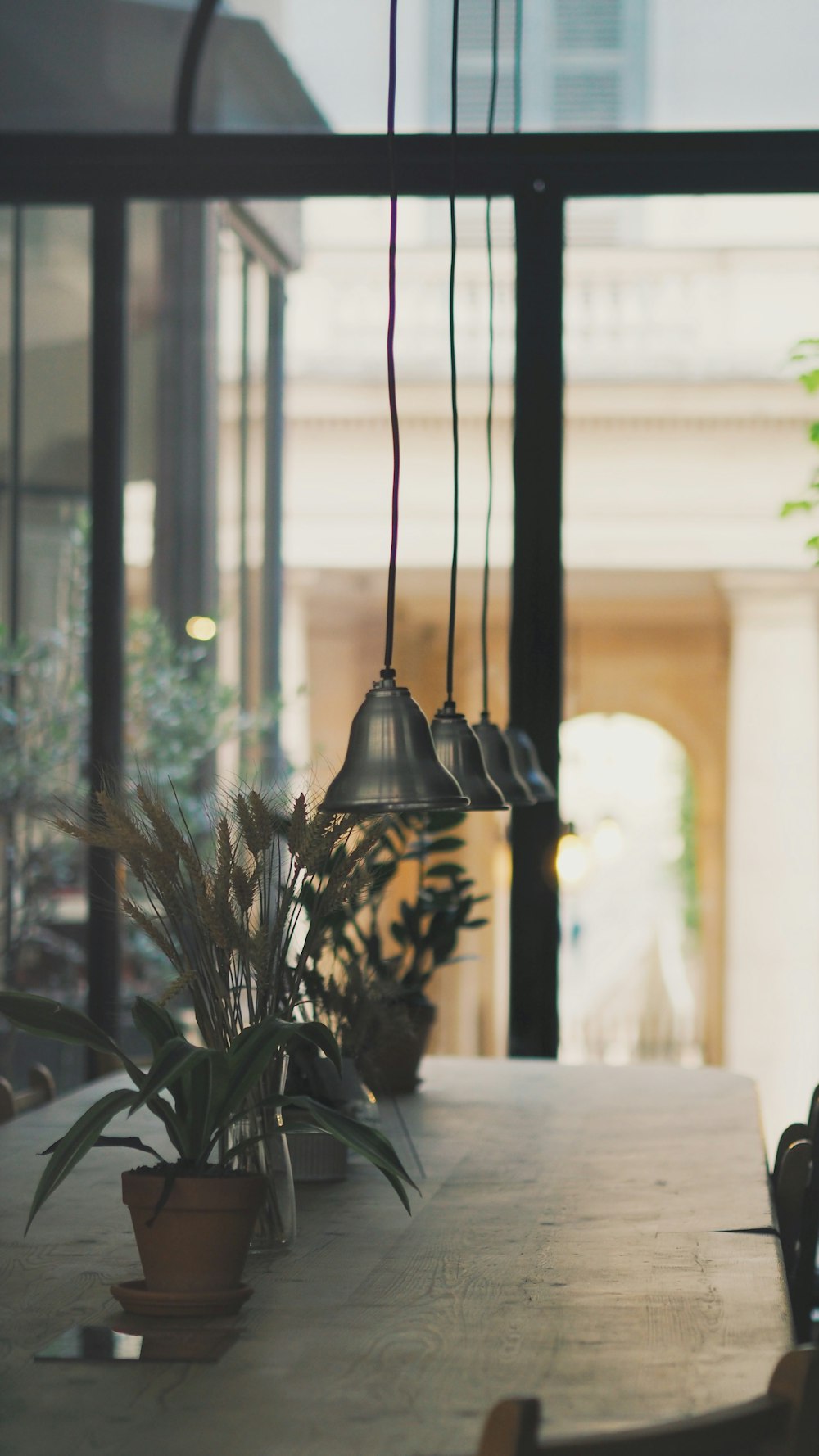 black and gold hanging lamp