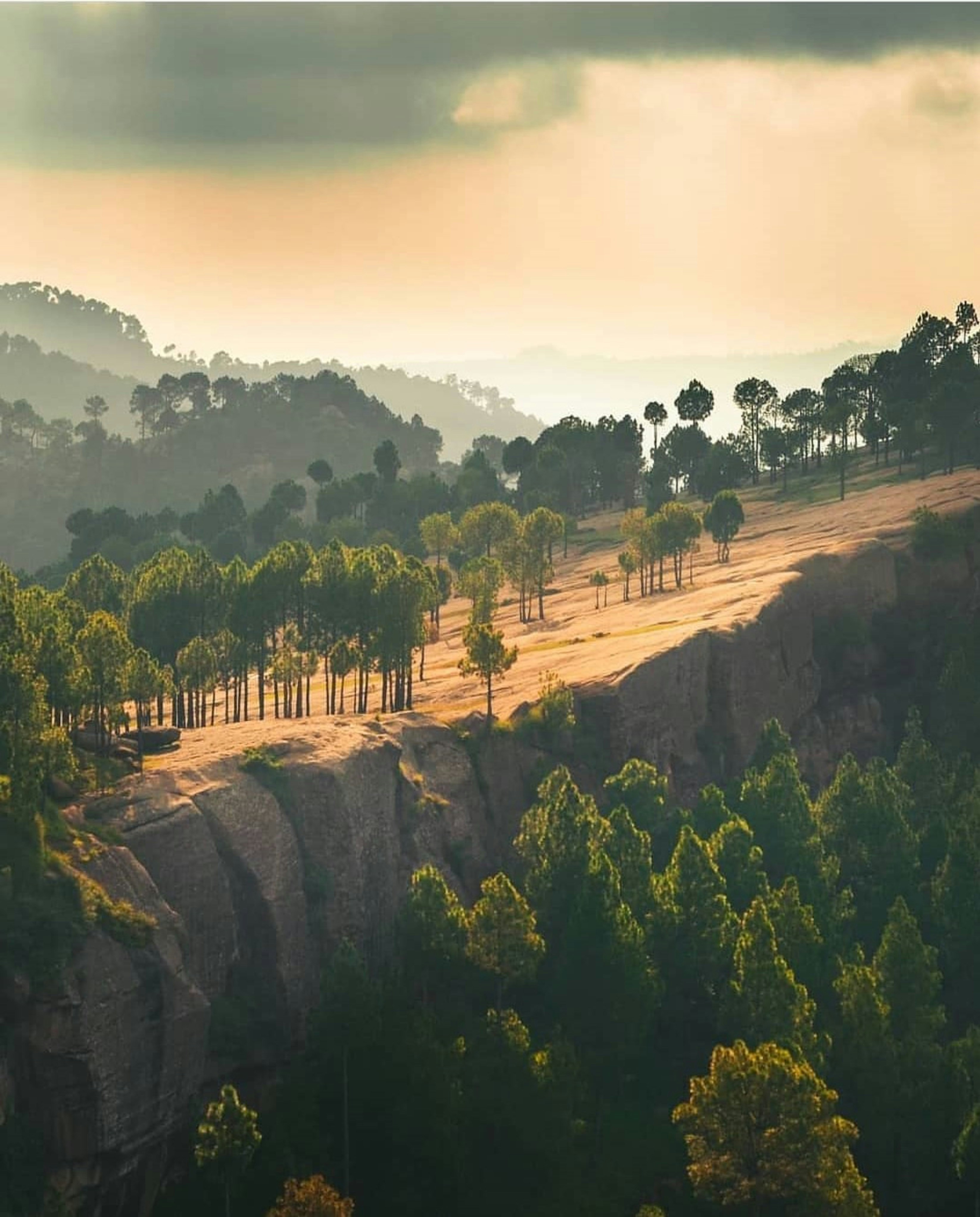 green trees on brown mountain during daytime
