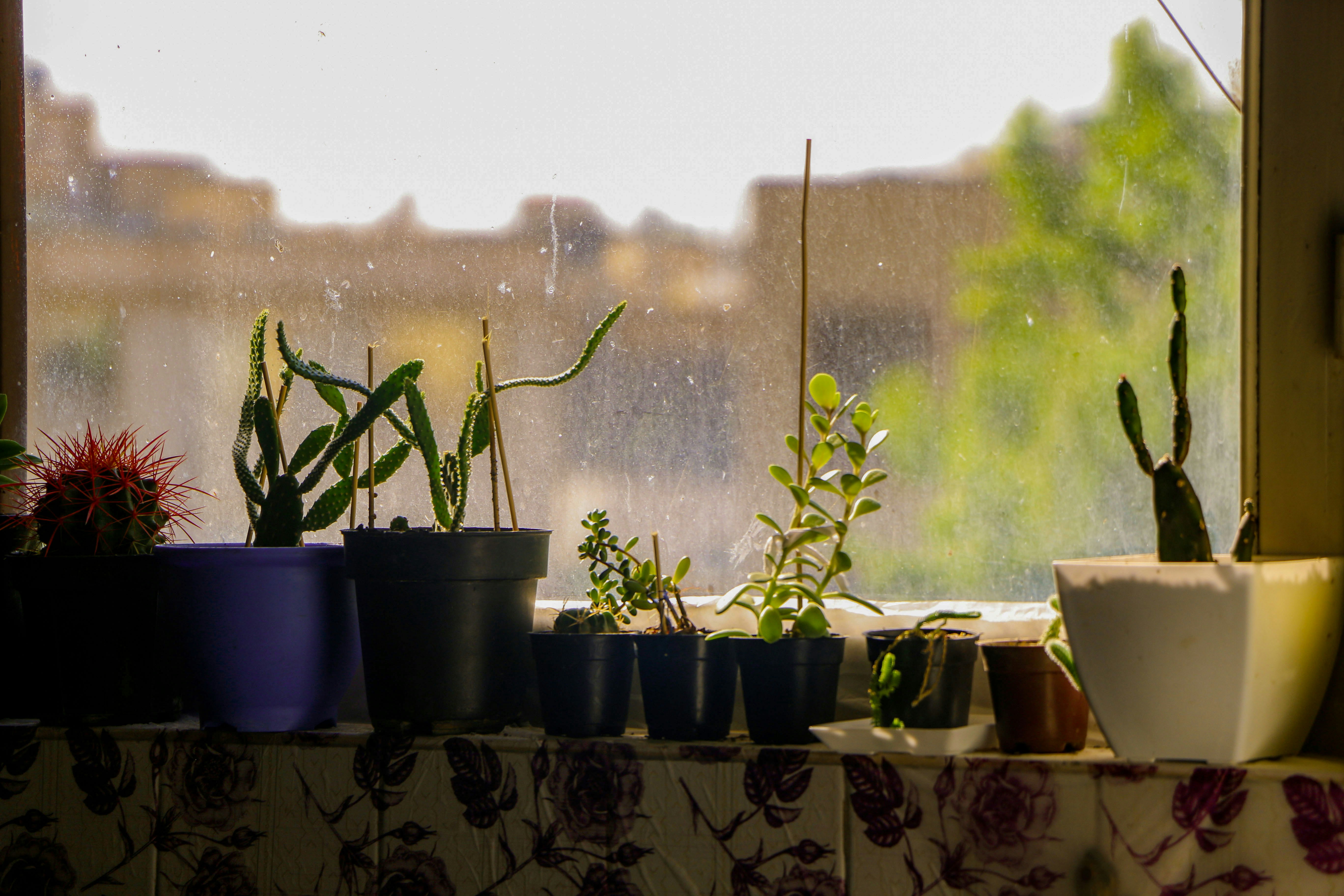 Photo by mahla_montazeri