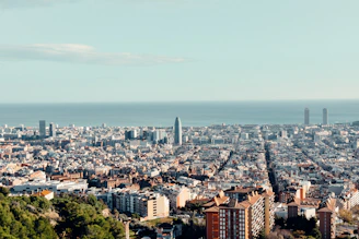 aerial view of city buildings during daytime