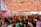 A lively celebration is taking place under a vibrant, intricately patterned canopy. Numerous people are gathered closely together, raising their hands in joyful participation. The setting is decorated with pink balloons and floral arrangements, creating a festive atmosphere.